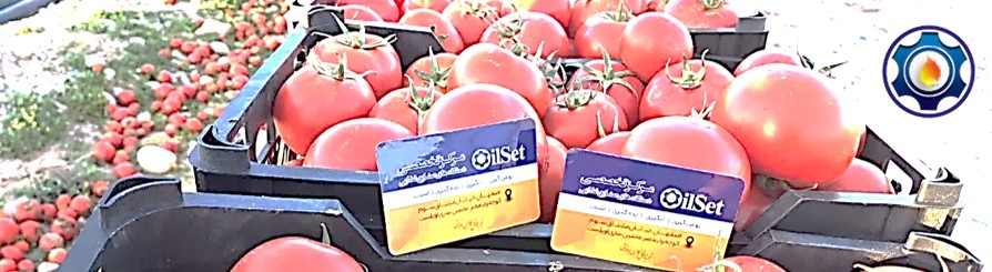 دستگاه آب گوجه گیری