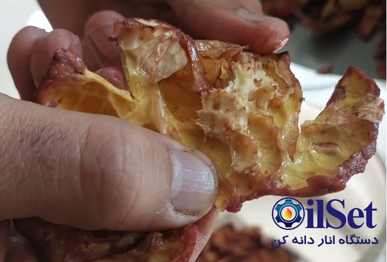 دستگاه انار دون کن