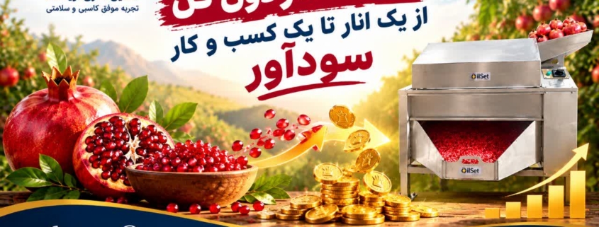 قیمت دستگاه انار دون کن