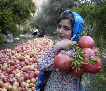 انار دانه کن